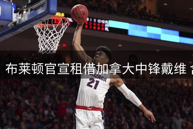 布莱顿官宣租借加拿大中锋戴维 含强制买断条款