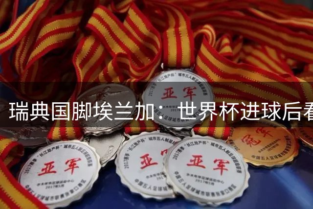 瑞典国脚埃兰加：世界杯进球后看台惊现女儿身影 铁汉瞬间破防
