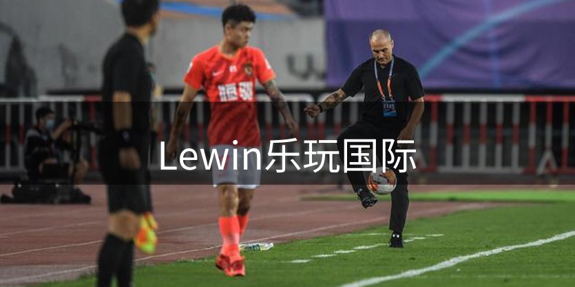 网站概况